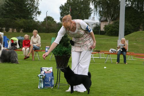 IMG_7582