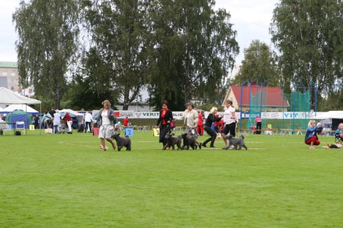 IMG_7654