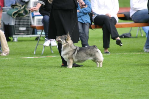 IMG_0797