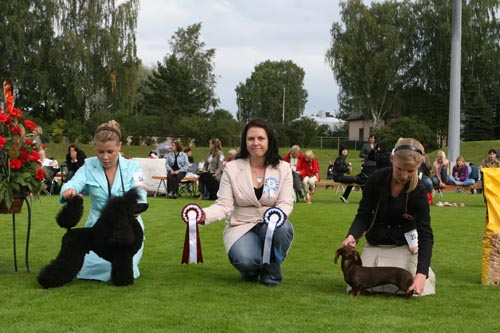 IMG_7982