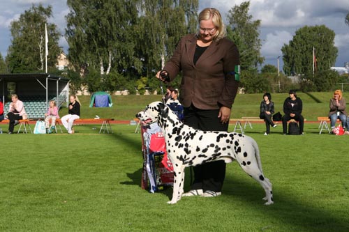 IMG_8617