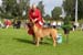 IMG_8133