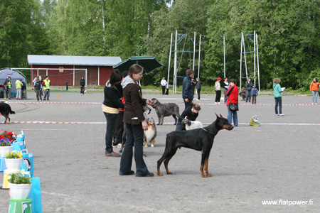 IMG_9049