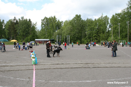 IMG_9051