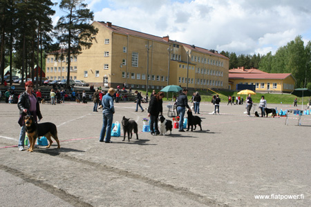 IMG_9081