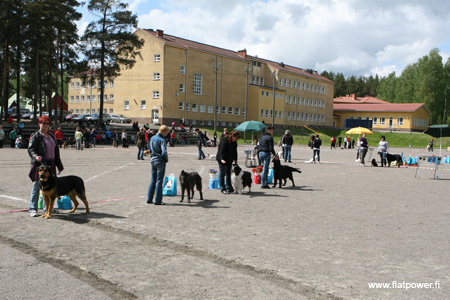 IMG_9082