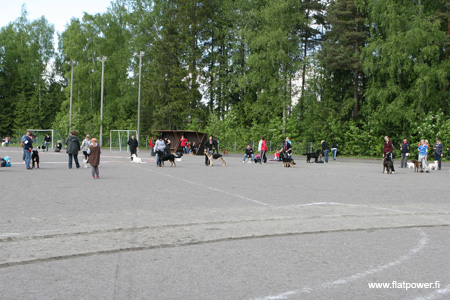 IMG_9105