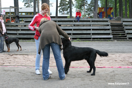 IMG_9175