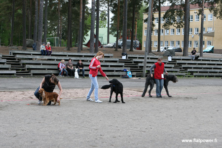 IMG_9182