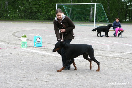 IMG_9204