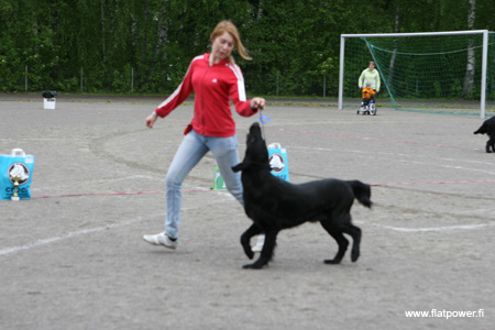 IMG_9205