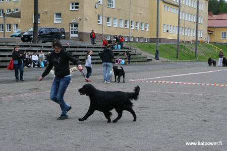 IMG_9214