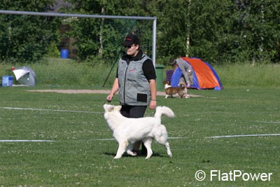 IMG_5614