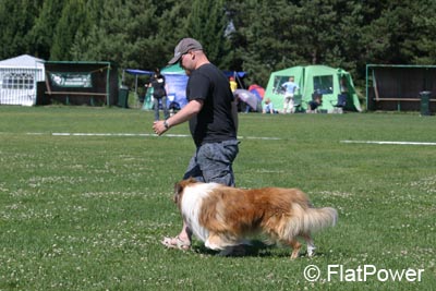 IMG_5765