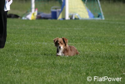 IMG_0146