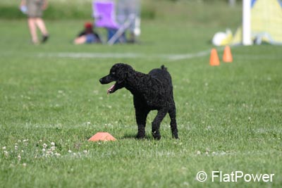 IMG_0238