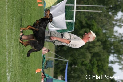 IMG_0331
