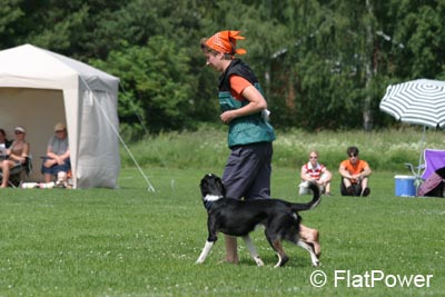 IMG_0462