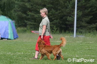IMG_0494