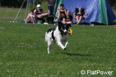 IMG_4870