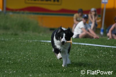 IMG_4880