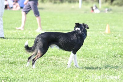 IMG_4888