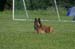 IMG_0116