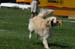 IMG_4840