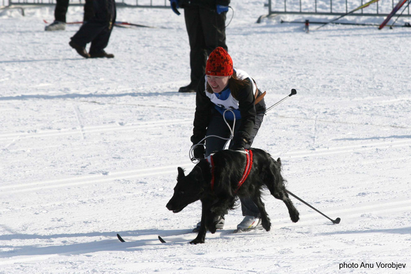 20070225_9999_132