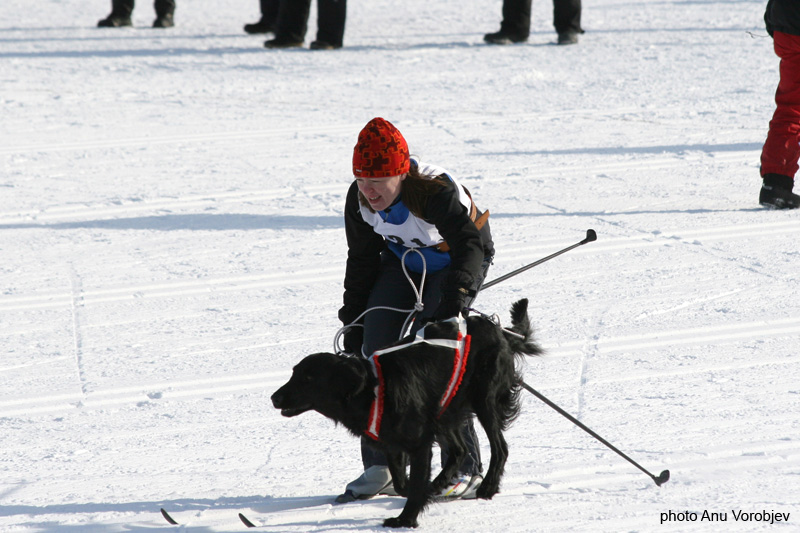 20070225_9999_135