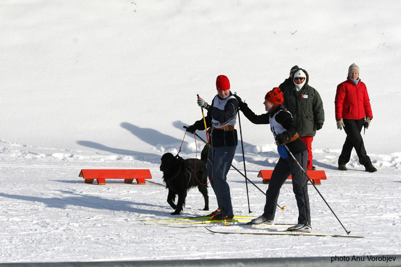 20070225_9999_170