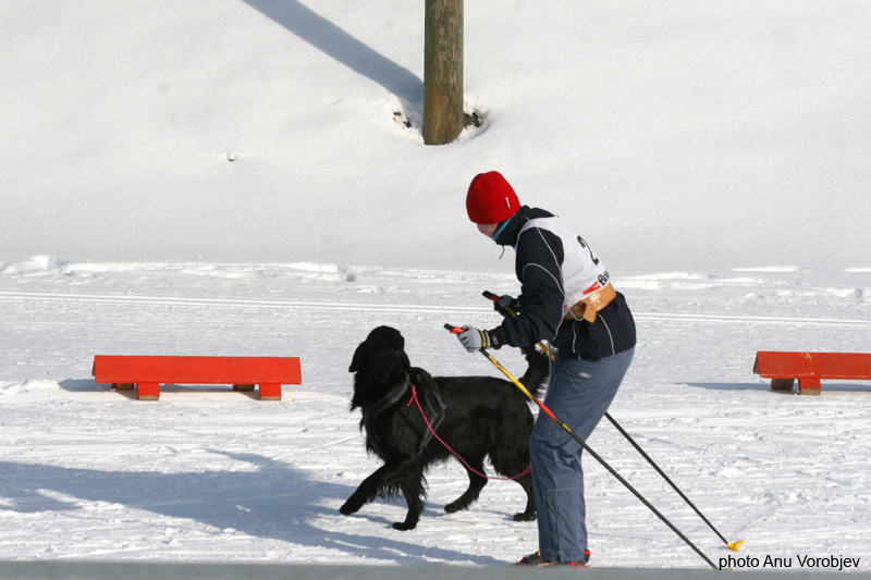 20070225_9999_171