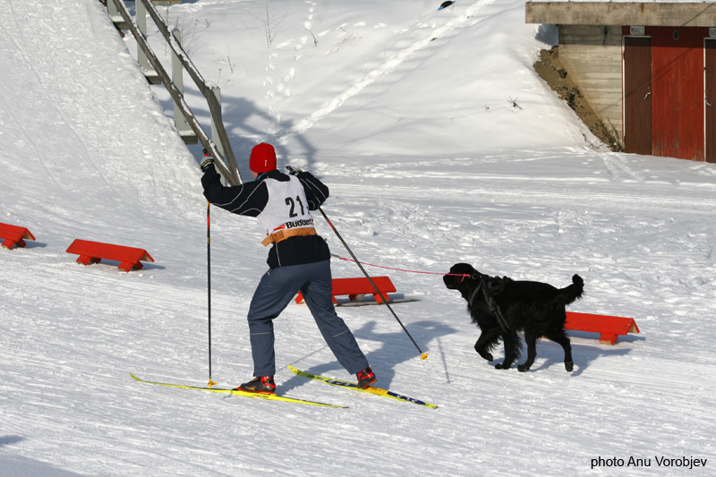 20070225_9999_173