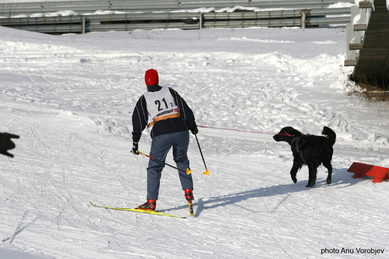 20070225_9999_175