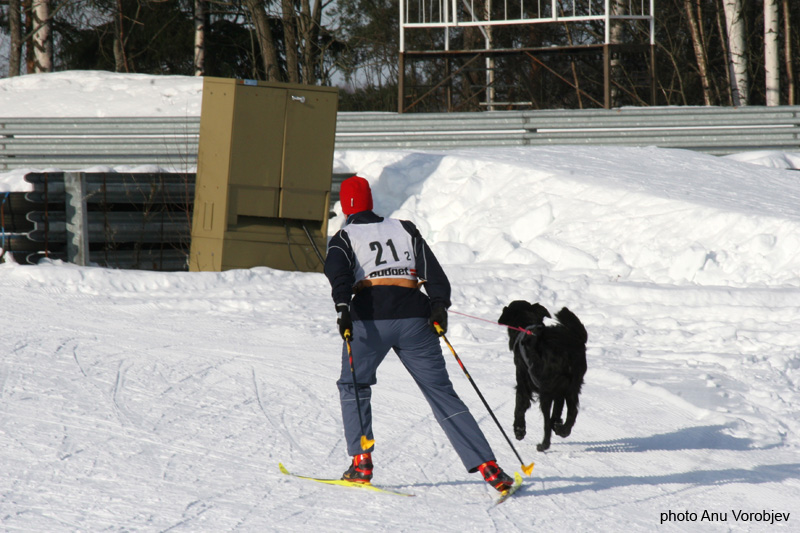 20070225_9999_176