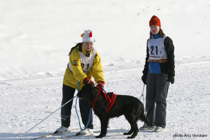 20070225_9999_211