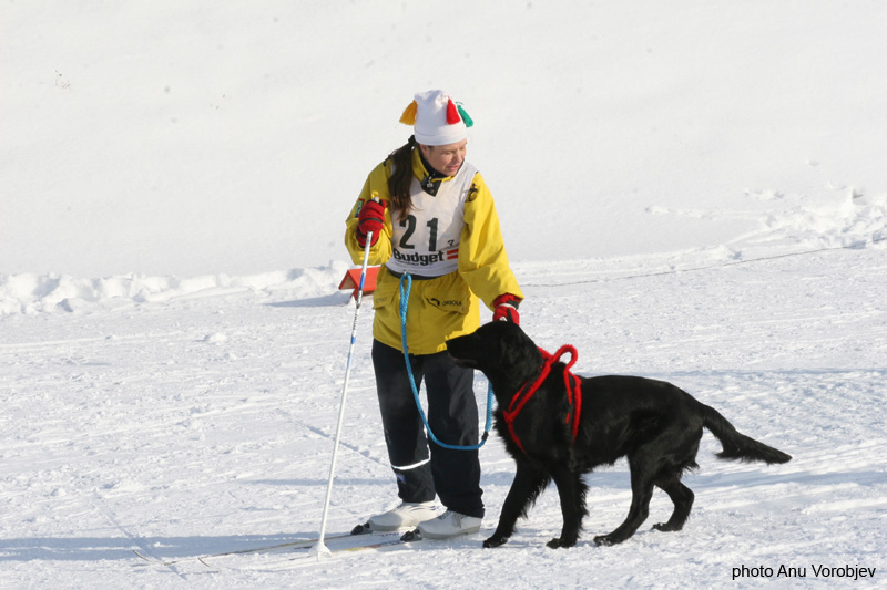 20070225_9999_231