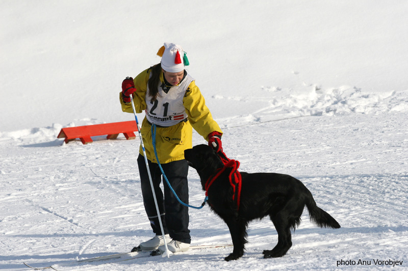 20070225_9999_232