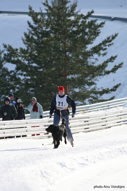 20070225_9999_236