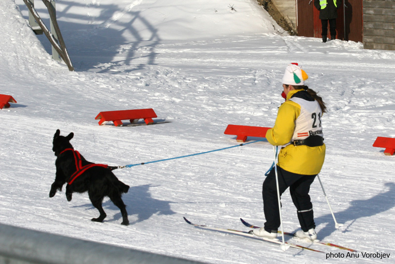 20070225_9999_242