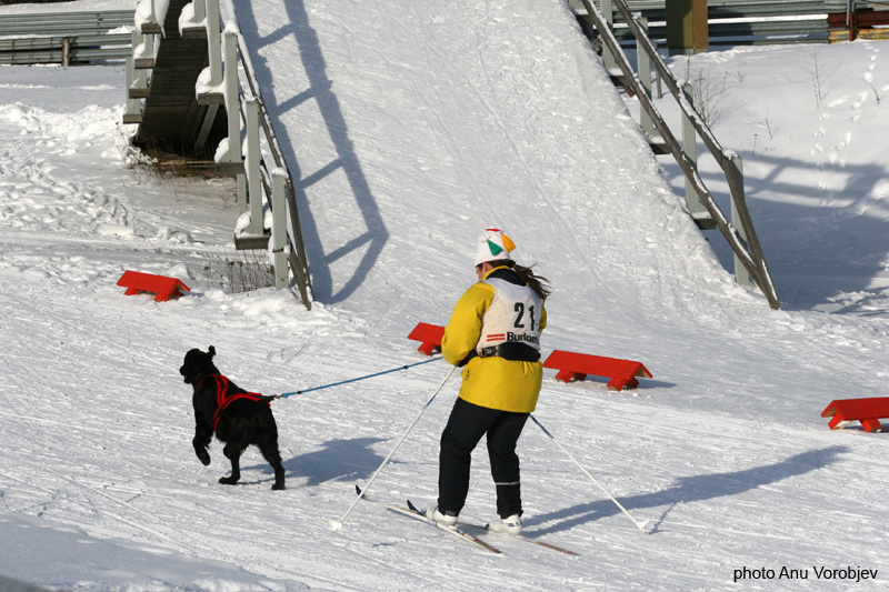20070225_9999_243