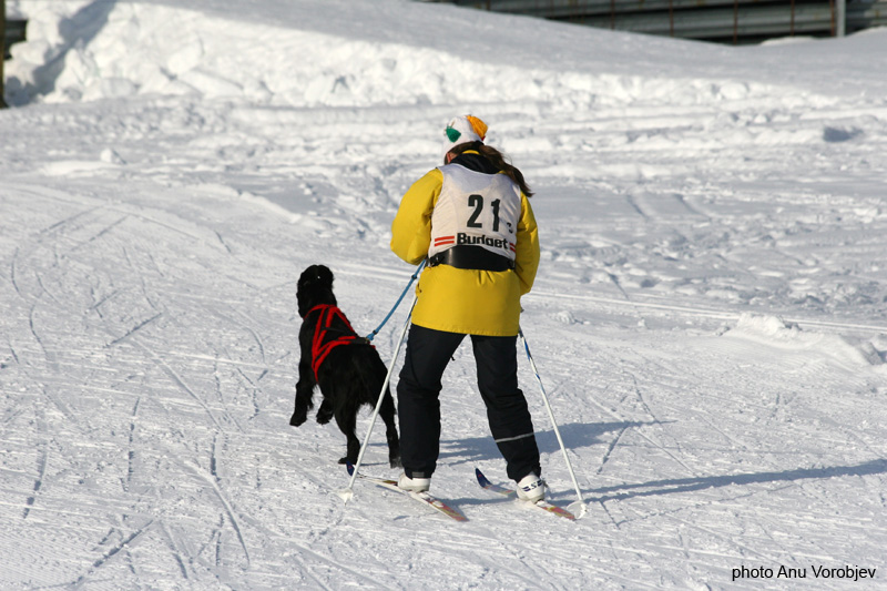 20070225_9999_245