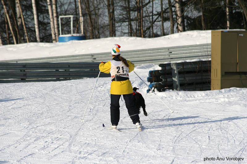 20070225_9999_247