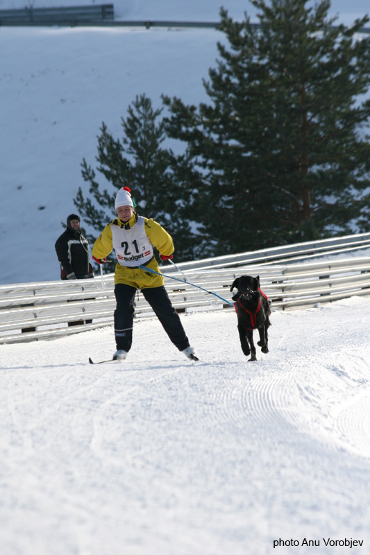 20070225_9999_263