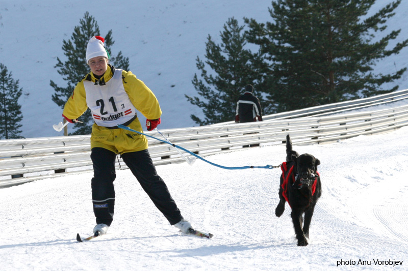 20070225_9999_267