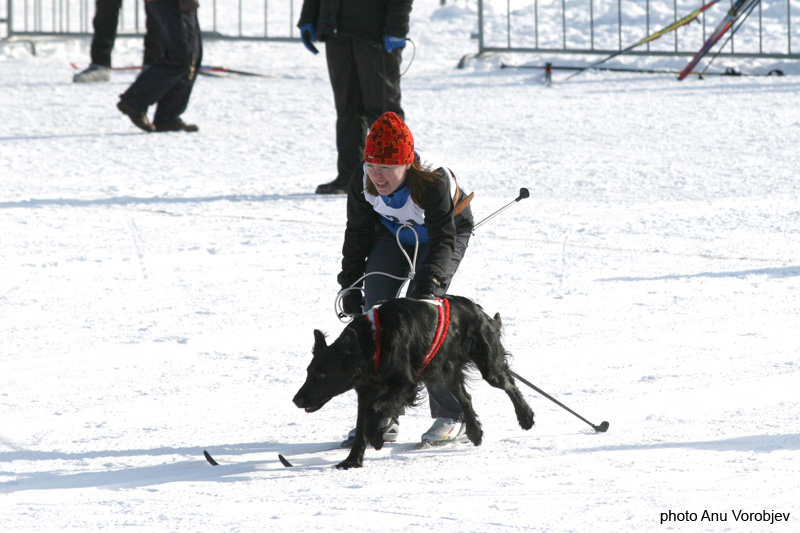 20070225_9999_132