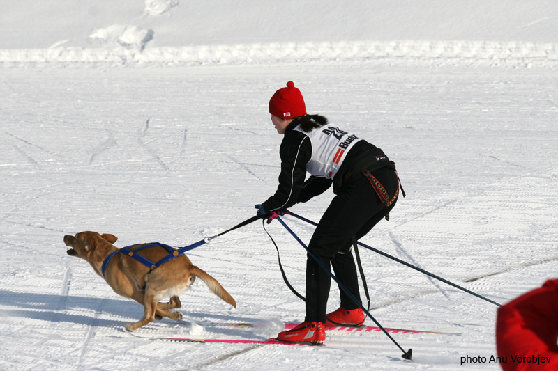 20070225_9999_138