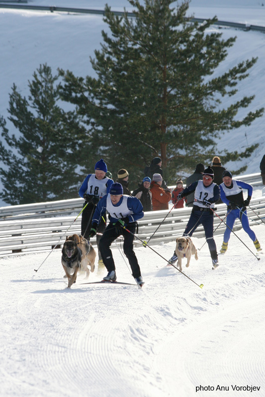 20070225_9999_145