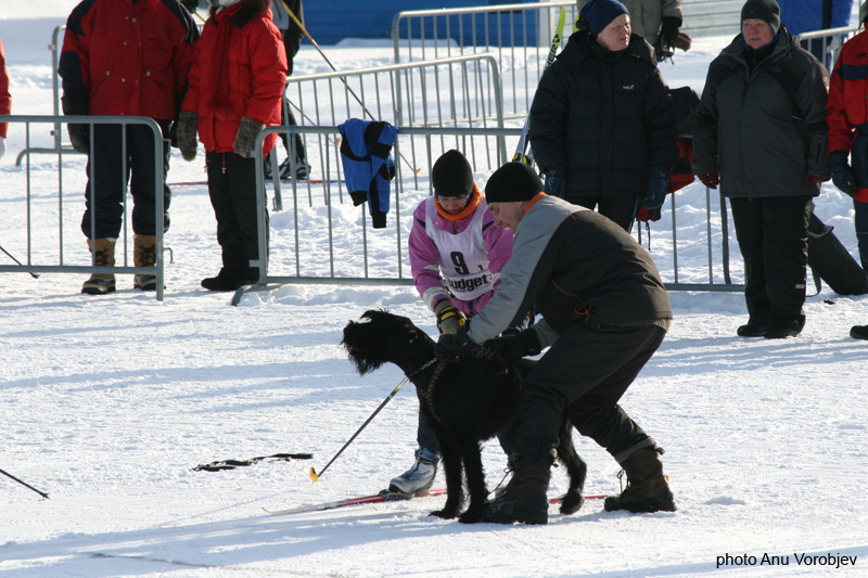 20070225_9999_17