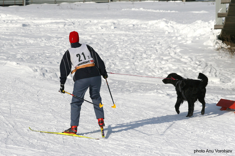 20070225_9999_175